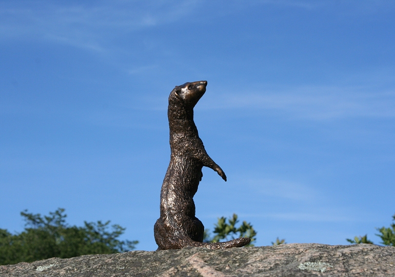 Curious / Nyfiken (48 KB)- back