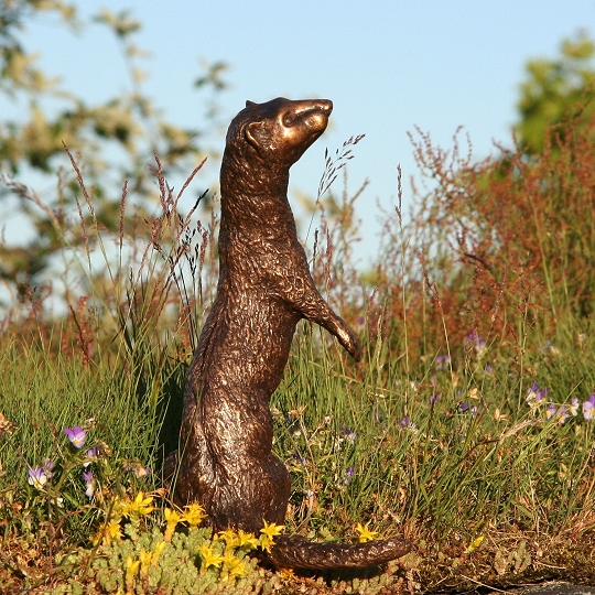 Curious / Nyfiken (48 KB)- back