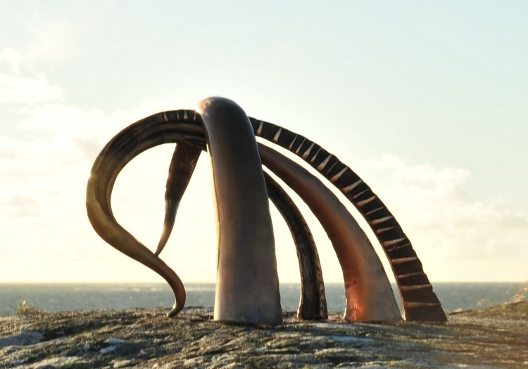 On the Brink of Knowledge (175 KB) - next