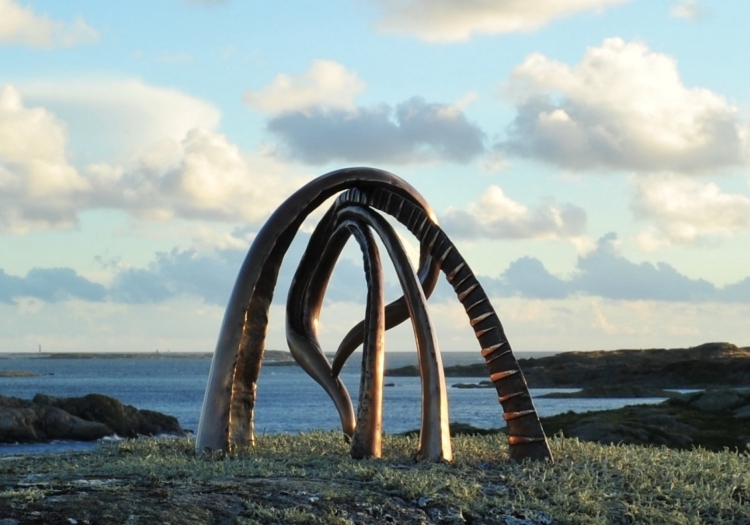 On the Brink of Knowledge (207 KB) - next