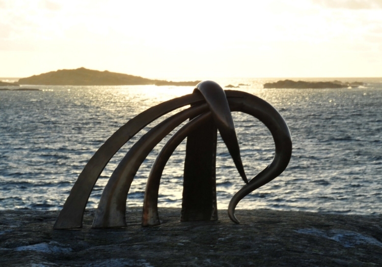 On the Brink of Knowledge (200 KB) - next