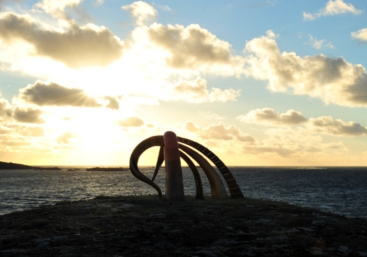 On the Brink of Knowledge (194 KB) - next