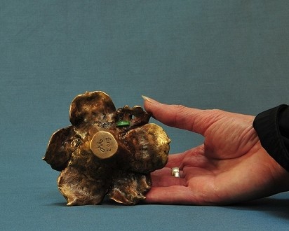 Everlasting (20 KB) - back