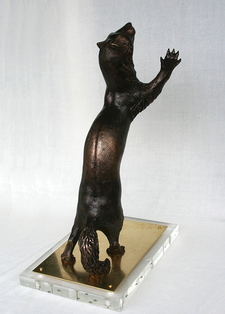 Forget-me-not - back